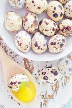 bıldırcın yumurtası