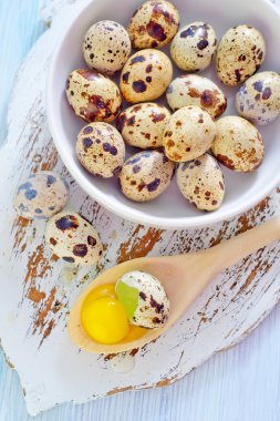 bıldırcın yumurtası