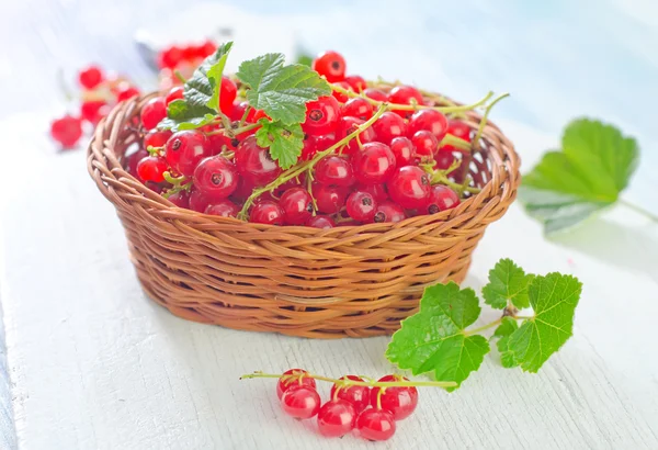 Grosella roja — Foto de Stock