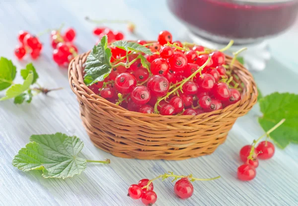 Rote Johannisbeere — Stockfoto