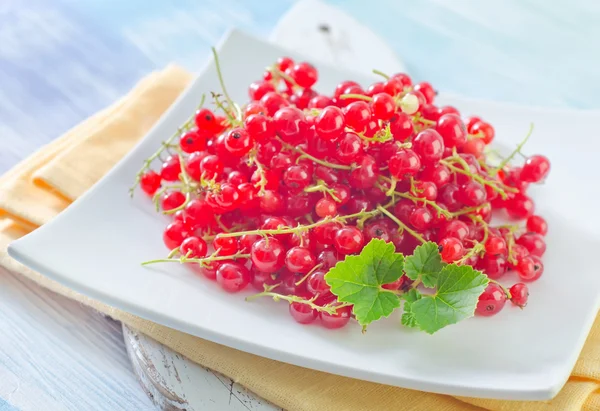 Red currant — Stock Photo, Image