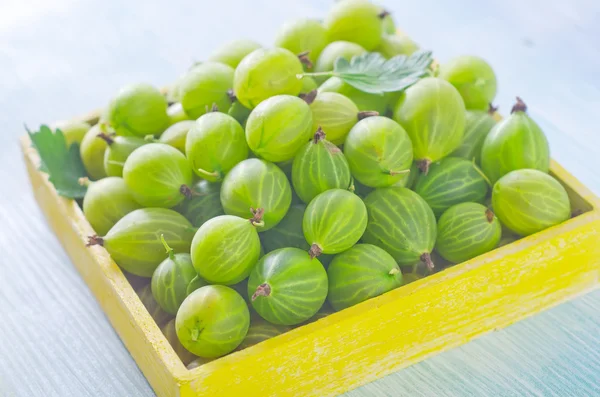 Gooseberry — Stock Photo, Image