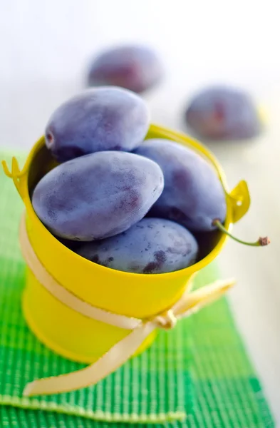 Plums in a small bucket — Stock Photo, Image