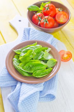 fesleğen ve domates