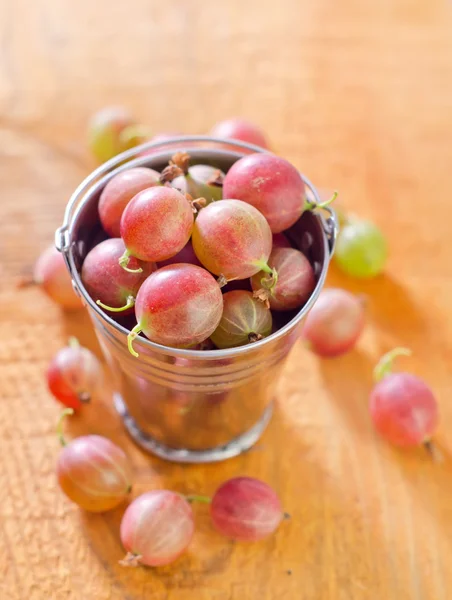 Gooseberry — Stock Photo, Image