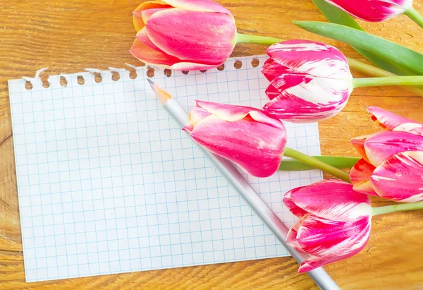 Tulips and note — Stock Photo, Image