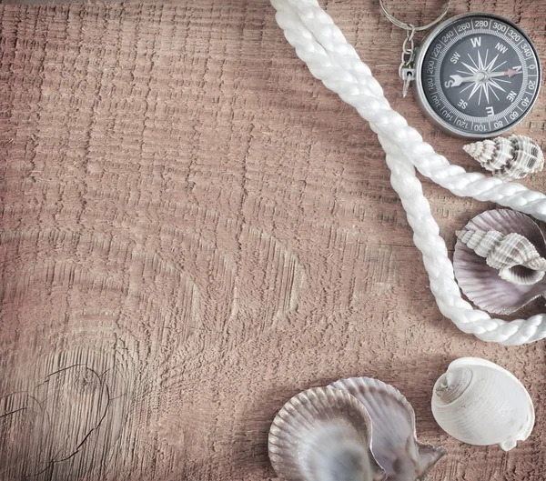 Sea shells on wooden background — Stock Photo, Image