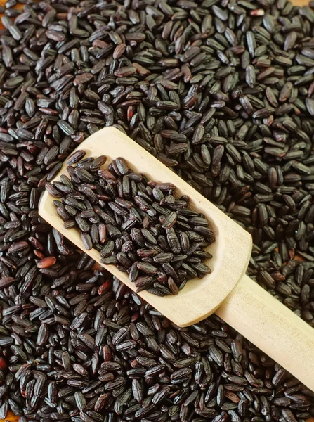 Arroz negro —  Fotos de Stock