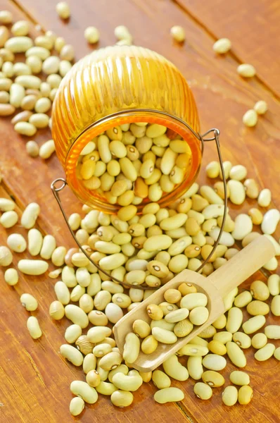 Dry beans — Stock Photo, Image