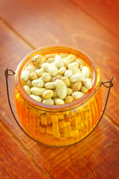 Dry beans — Stock Photo, Image