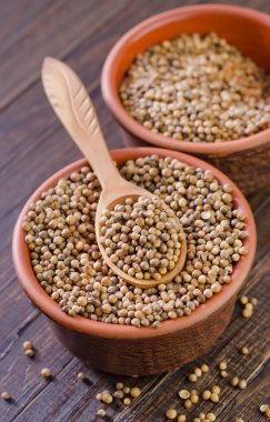 shot van wodka in de hand