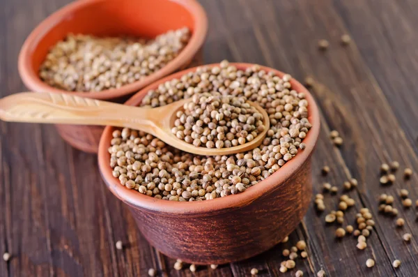 Coriander in a bowl — Stock Photo, Image