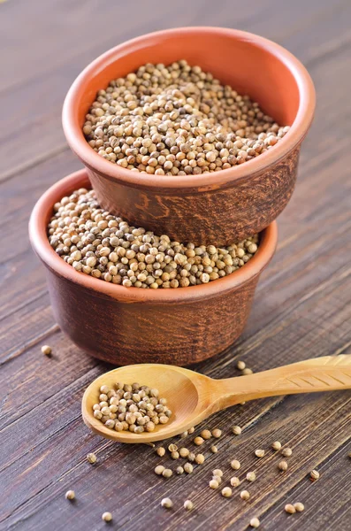 Coriander in a bowl — Stock Photo, Image