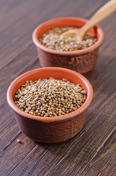 Coriander in a bowl — Stock Photo, Image