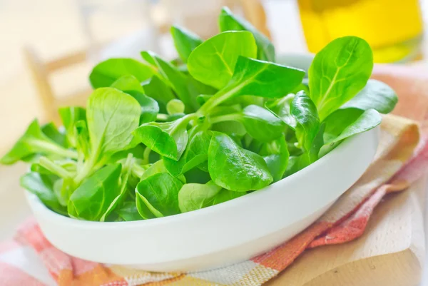 Salat in einer Schüssel — Stockfoto
