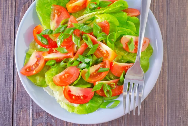 Salade met een plaat — Stockfoto