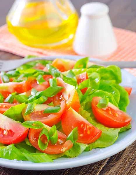 Sallad i en tallrik — Stockfoto