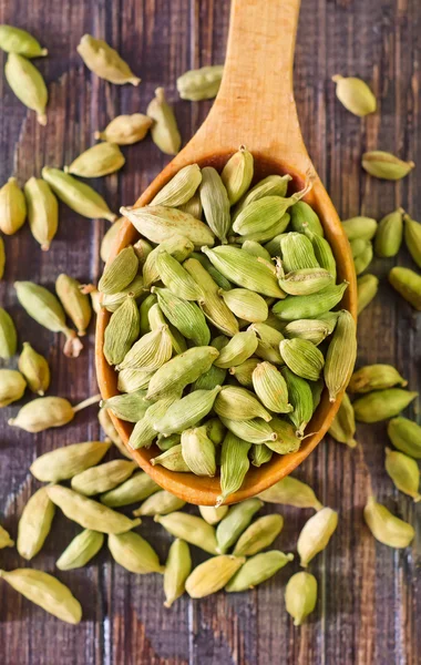 Cardamón — Foto de Stock