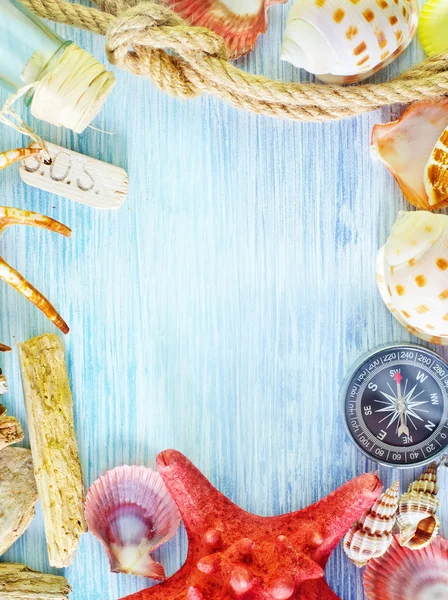 Deniz kabukları ve pusula — Stok fotoğraf