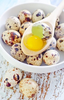 bıldırcın yumurtası