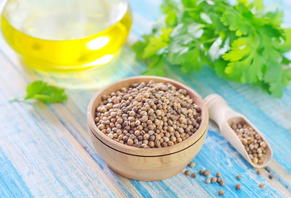 Coriander — Stock Photo, Image