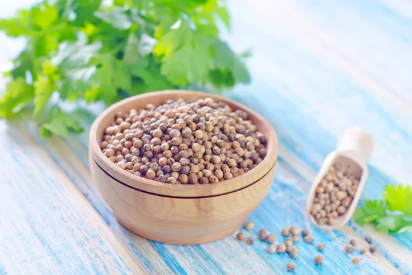 Coriander — Stock Photo, Image