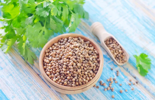 Coriander — Stock Photo, Image