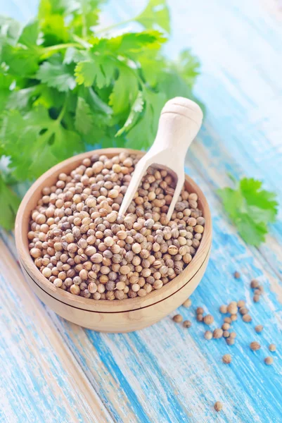 Coriander — Stock Photo, Image