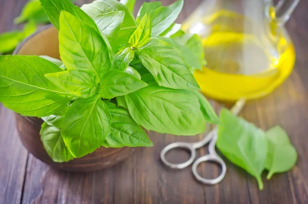 Basil on table — Stock Photo, Image