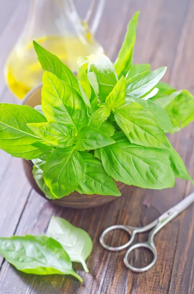 Basil on table — Stock Photo, Image