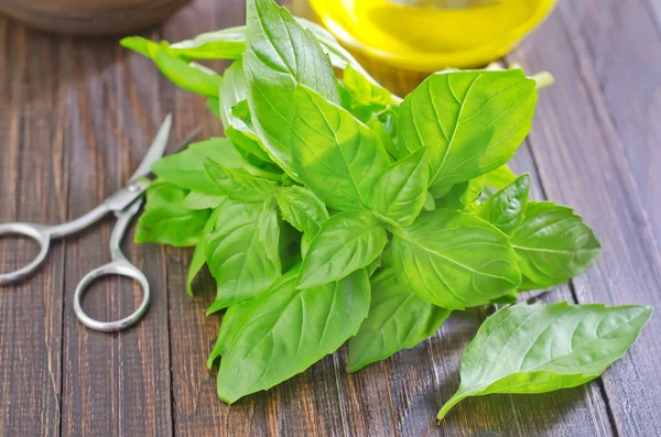 Basil on table — Stock Photo, Image