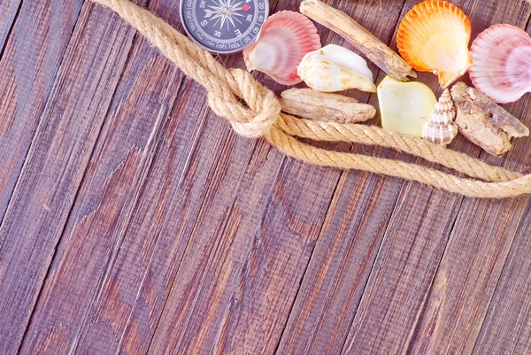 Shell and compass — Stock Photo, Image