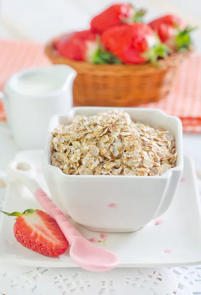 Oat flakes — Stock Photo, Image