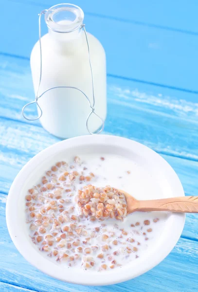 Hrișcă cu lapte — Fotografie, imagine de stoc