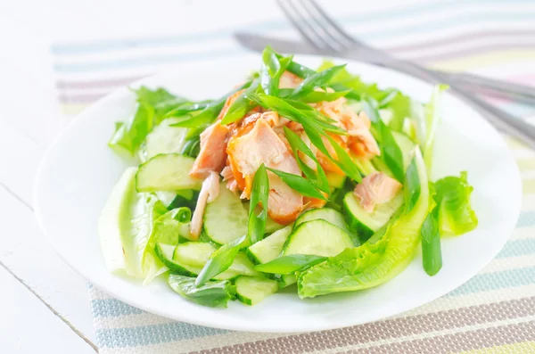 Салат с лососем и огурцом — стоковое фото