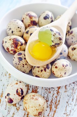 bıldırcın yumurtası