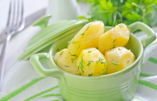 Boiled potato — Stock Photo, Image