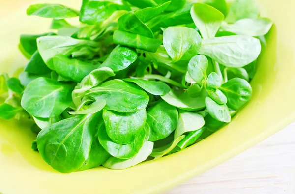 Corn salad — Stock Photo, Image