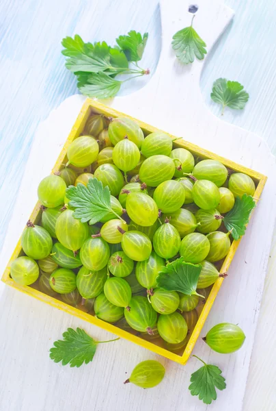 Gooseberry in a bowl — Stock Photo, Image