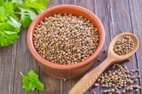 Coriander in a bowl — Stock Photo, Image