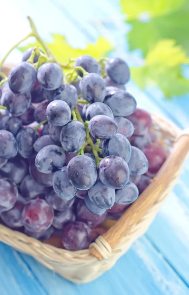 Grape in a basket — Stock Photo, Image