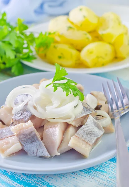 Hering mit Zwiebeln — Stockfoto