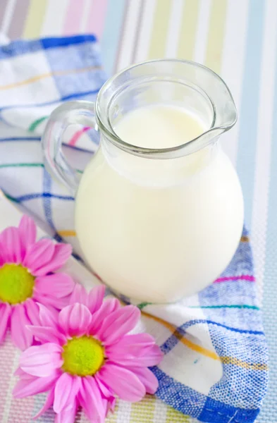 Mjölk i jug — Stockfoto