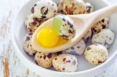 bıldırcın yumurtası