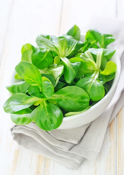 Salad in a bowl — Stock Photo, Image