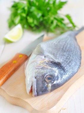Dorado balığı