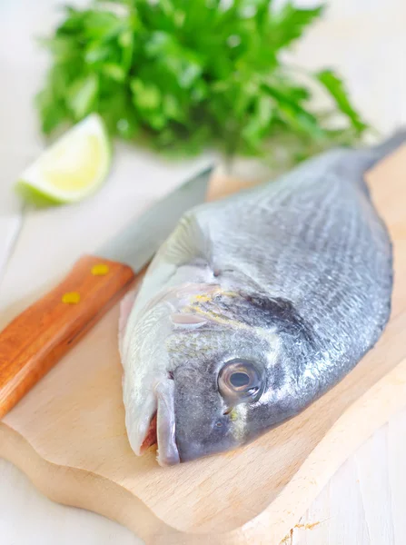 Peixe dorado — Fotografia de Stock