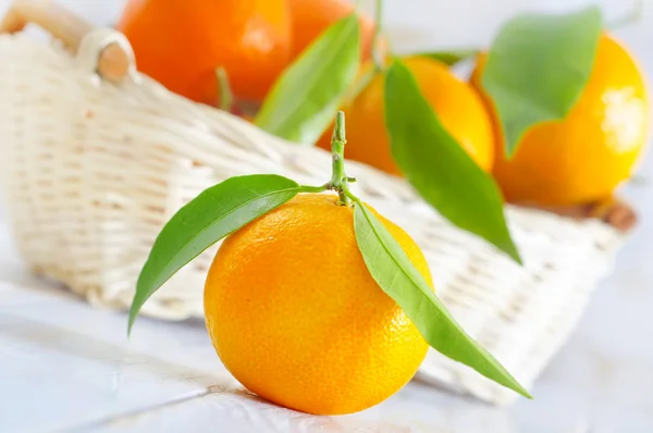 Mandarins — Stok fotoğraf