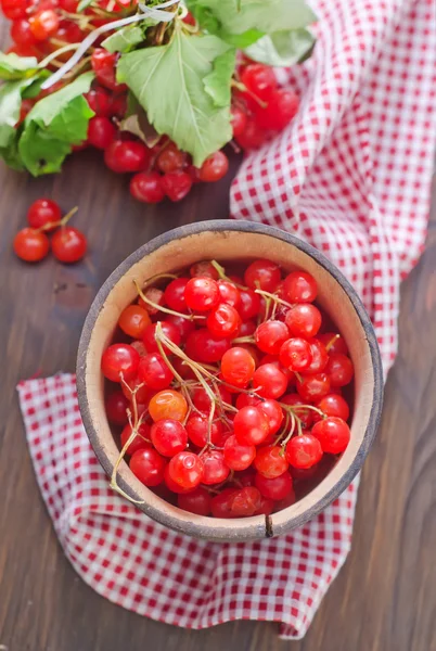 Viburnum in a bowl — Stock Photo, Image