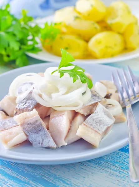 Hering mit Zwiebeln — Stockfoto